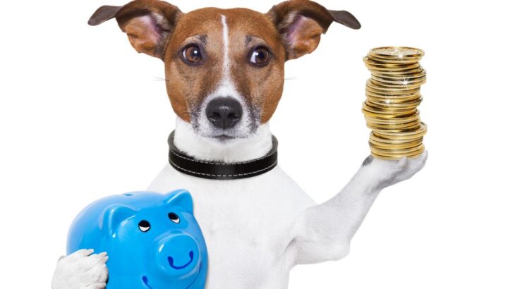 犬を飼うときにかかる費用はどのくらい？　犬種やサイズ別の違いから生涯費用の目安まで解説(ブログ)