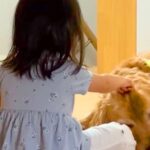 子供3人のお昼寝中、部屋の外で待つ大型犬→次女だけ先に起きてきて…あまりにも尊い『ふたりきりの時間』に反響「愛だなあ…」「微笑ましい」(ブログ)