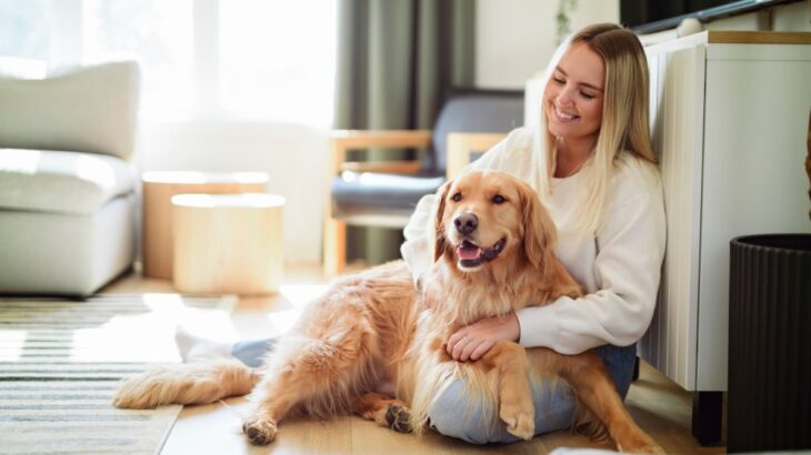 犬が『飼い主に寄りかかってくる』心理5選　可愛すぎる理由や愛犬に密着してもらうためにできることまで(ブログ)