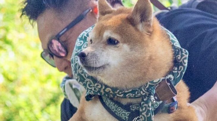 登山中、犬を穴から引っ張り上げた男性→石につまずいてしまい…思いがけない『奇跡の1枚』に12万いいね集まる「完全一致で草」「愛感じる」(ブログ)