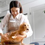 犬に携わる仕事の給料はどれくらい？犬好きが一度は憧れる職業の平均年収をご紹介(ブログ)