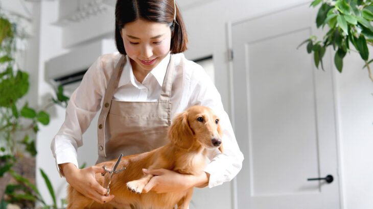 犬に携わる仕事の給料はどれくらい？犬好きが一度は憧れる職業の平均年収をご紹介(ブログ)