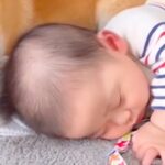 赤ちゃんが寝ていると、犬が隣に寄り添って…母性にあふれた『愛おしい行動』が26万再生「涙出そう…」「なんだか胸キュン」「ほっこりした」(ブログ)