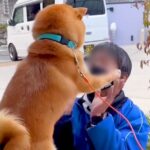 朝、佐川急便の配達員が家にきた結果→『大好き』が溢れてしまった犬が…あまりにも尊い光景が152万再生「可愛すぎ」「前世恋人？」現在の姿も(ブログ)