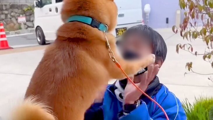 朝、佐川急便の配達員が家にきた結果→『大好き』が溢れてしまった犬が…あまりにも尊い光景が152万再生「可愛すぎ」「前世恋人？」現在の姿も(ブログ)