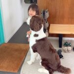 ドアの前でパパの帰りを待つ『女の子と大型犬』→帰ってきた瞬間…愛おしくてたまらない『おかえりなさい』に反響「1秒でも早く帰りたくなる」(ブログ)