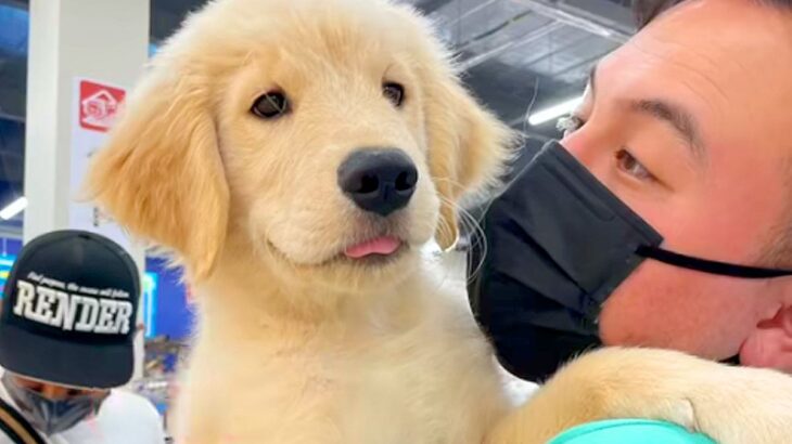 『赤ちゃんのときが一番』と言われた大型犬の赤ちゃんを飼ったら…あまりにも尊い『おとなに成長した光景』が28万再生「最高」「ずっと可愛い」(ブログ)