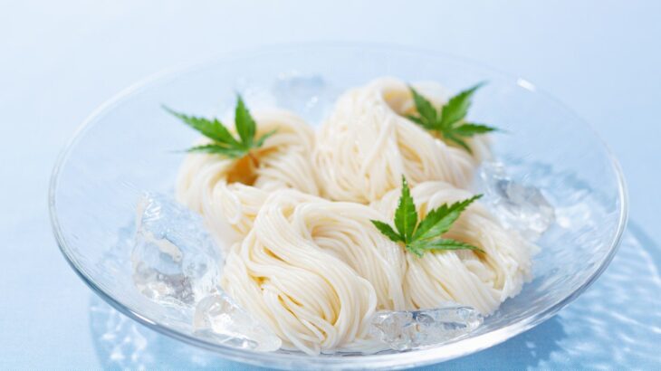 犬に『そうめん』を食べさせても大丈夫？与える際の5つの注意点とは？(ブログ)