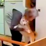 おばあちゃんと犬がお留守番→ふとペットカメラを『のぞき見』した結果…まるで人の子供？尊すぎる光景が42万再生「笑い止まらん」「ほっこり」(ブログ)