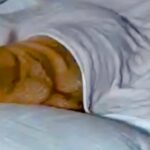 同居人から『先に寝てる』とLINE→帰宅後、リビングを見てみたら…衝撃的な『まさかの状況』に4万いいね「表情が尊い」「可愛すぎｗ」と反響(ブログ)