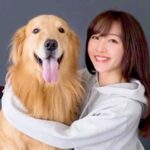 突然『余命１ヶ月』を宣告された大型犬…亡くなるまでを綴った『涙腺崩壊する光景』が240万再生「絶対に幸せだった」「勇気づけられた」と反響(ブログ)