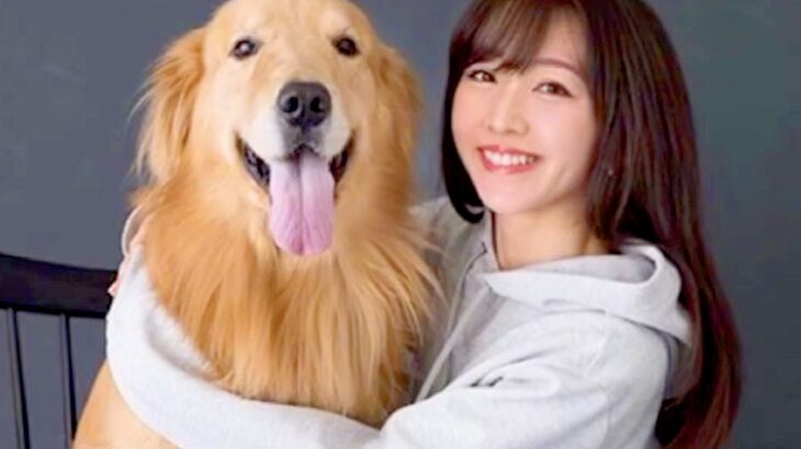 突然『余命１ヶ月』を宣告された大型犬…亡くなるまでを綴った『涙腺崩壊する光景』が240万再生「絶対に幸せだった」「勇気づけられた」と反響(ブログ)