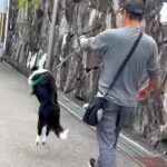 『大好きなおじさん』と一緒にお散歩した犬→歩いていたら、嬉しくなりすぎて…テンションMAXになった『想像を超える行動』に反響飛びすぎｗ」(ブログ)