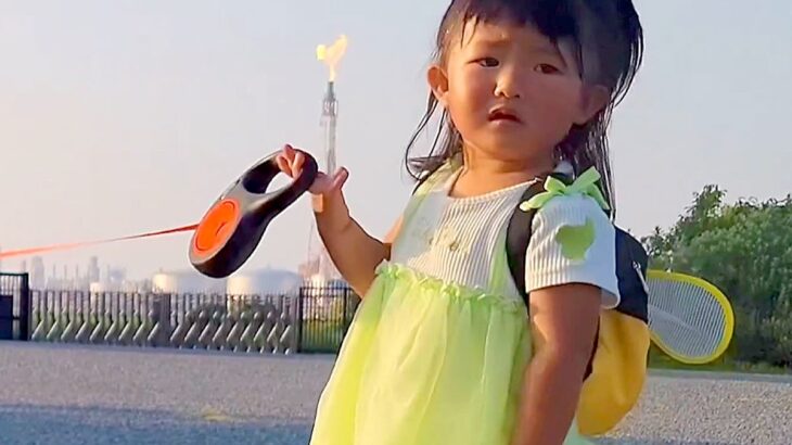 2歳の女の子が『犬の散歩』に挑戦→前に進もうと思ったら…辛辣すぎる『容赦ない行動』が14万表示「頑固で草」「引っ張りっこ可愛すぎｗ」(ブログ)