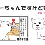 ちーちゃんですけどもっ【第325話】「シニア犬の圧」(ブログ)