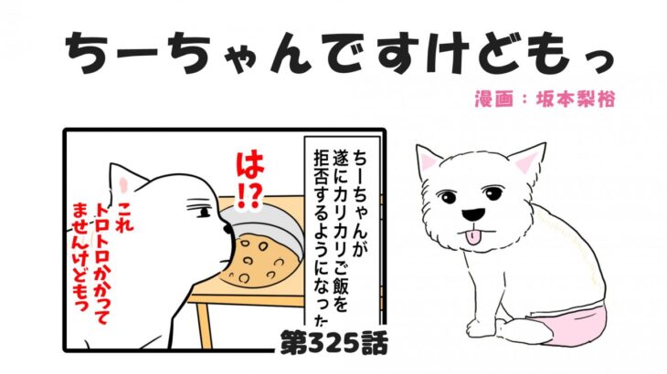 ちーちゃんですけどもっ【第325話】「シニア犬の圧」(ブログ)