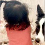 ハイハイしかできなかった赤ちゃんが『つかまり立ち』をした瞬間…隣にいた犬の『驚きすぎている表情』に8万いいね「顔ｗｗ」「焦ってて可愛い」(ブログ)