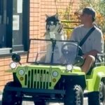 大型犬が『スタバのドライブスルー』に行った結果→店員さんが…100点満点な反応と可愛すぎる光景が16万再生「羨ましいｗ」「デレデレで草」(ブログ)