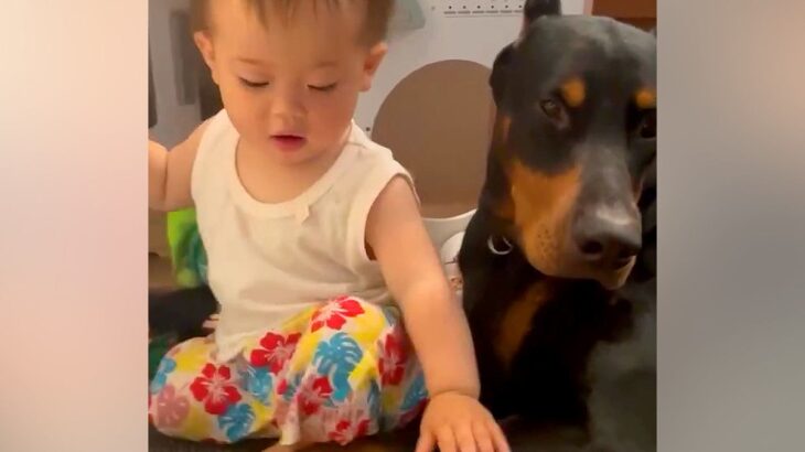 疲れていても赤ちゃんを見守る大型犬→ふと同居犬を見てみると…あまりにも差がある『まさかの光景』が27万再生「最高すぎｗｗ」「白目で草」(ブログ)