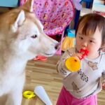 『ラッパのおもちゃ』で遊ぶ赤ちゃん→隣にいた大型犬が…まさかの『とんでもなく尊い音楽隊』が8万再生「カオスでたまらんｗ」「可愛い音楽会」(ブログ)