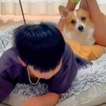 夏休み最終日、宿題をやる男の子→犬が寄り添ってきて…ずっと続いてほしい『お勉強の光景』が63万再生「尊い…」「家族愛にほっこり」と絶賛(ブログ)