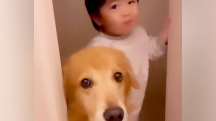 トイレをしていたら、毎回乱入してくる小さな男の子と大型犬…３年後→癒される日常が24万再生「なんて可愛いの」「ほのぼのしてる」と反響(ブログ)