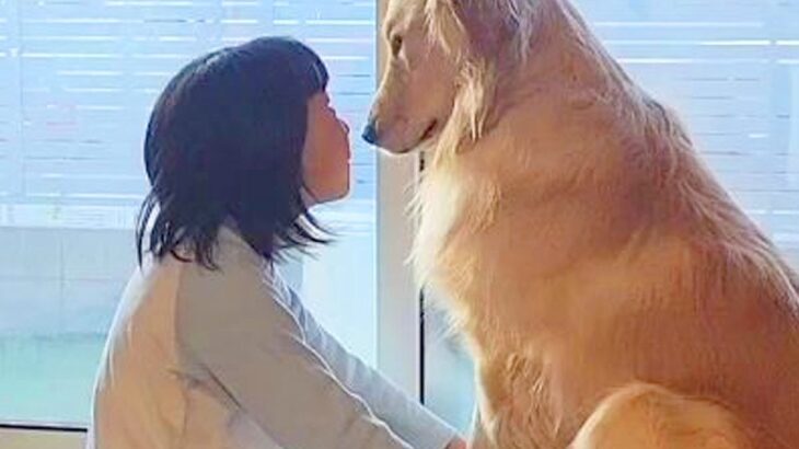 朝、女の子と大型犬が窓際で見つめ合って…ゆっくりと時間が流れる『尊すぎる光景』が28万再生「ほっこり癒された」「尻に敷かれてるw」と反響(ブログ)