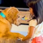 小さな女の子が大型犬にオヤツをあげようとしたら…幸せが溢れている『あまりにも優しい光景』に反響「なんていい子なの」「全員かわいい」(ブログ)