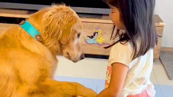 小さな女の子が大型犬にオヤツをあげようとしたら…幸せが溢れている『あまりにも優しい光景』に反響「なんていい子なの」「全員かわいい」(ブログ)