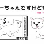 ちーちゃんですけどもっ【第327話】「何でも警戒するちーちゃん」(ブログ)