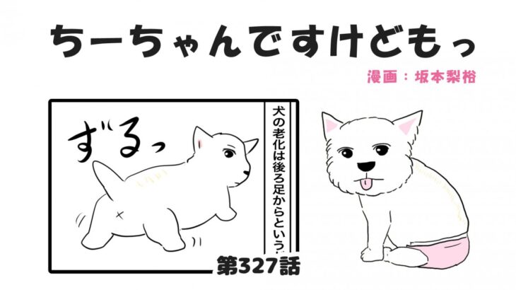 ちーちゃんですけどもっ【第327話】「何でも警戒するちーちゃん」(ブログ)