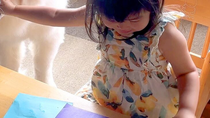 折り紙であそぶ3歳の女の子→超大型犬がイタズラしようとしたら…手慣れ過ぎている『衝撃の対処法』に5万いいね「ノールックで草」「笑った」(ブログ)