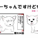 ちーちゃんですけどもっ【第324話】「またもや絶対安静のちーちゃん」(ブログ)