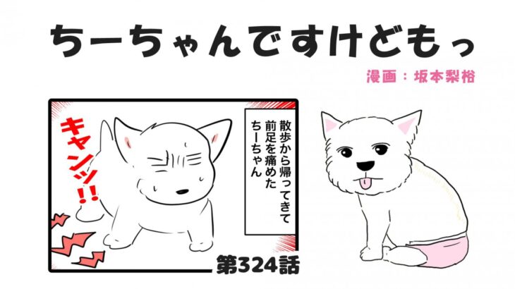ちーちゃんですけどもっ【第324話】「またもや絶対安静のちーちゃん」(ブログ)