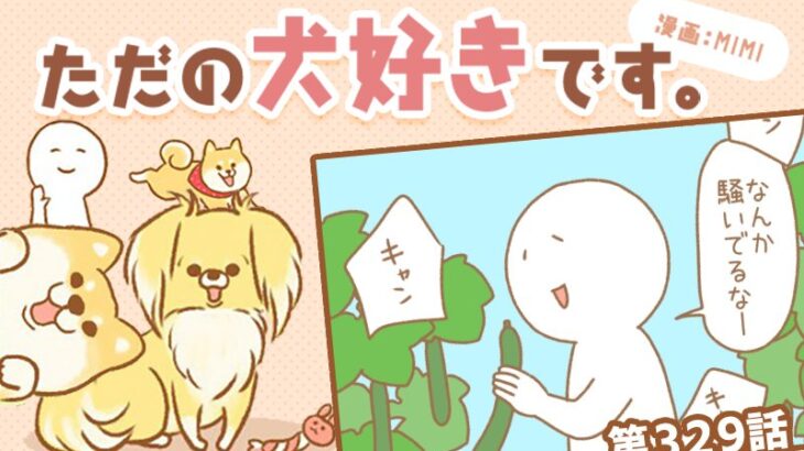 ただの犬好きです。【第329話】「帰省しました④」(ブログ)