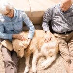 犬の『終活』まず何をしたらいいの？始めるべきタイミングや幸せな最期を迎えるためにすべきことまで(ブログ)