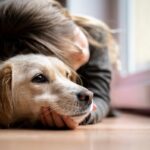 愛犬を苦しめる『愛情表現』5選　絶対やってはいけないタブー行為やストレスを与えない接し方まで(ブログ)