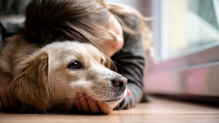 愛犬を苦しめる『愛情表現』5選　絶対やってはいけないタブー行為やストレスを与えない接し方まで(ブログ)