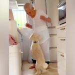 犬が好きじゃない『97歳のおじいちゃん』→キッチンで14歳の老犬と…思わず微笑んでしまう『尊い光景』が話題　ぎこちないやり取りにほっこり(ブログ)