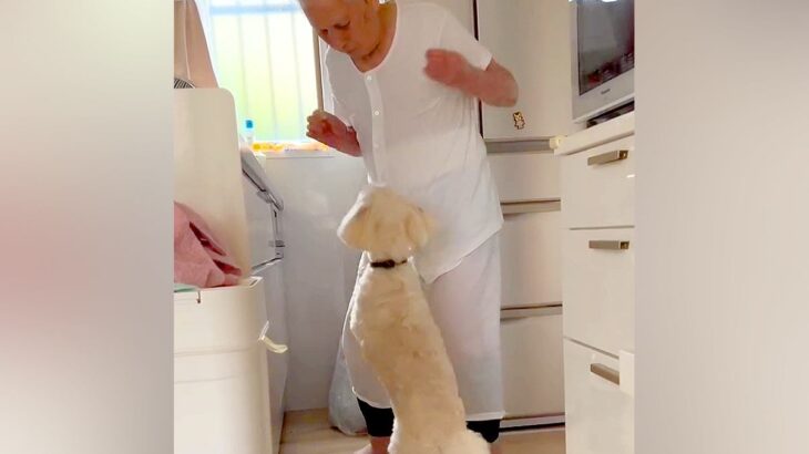 犬が好きじゃない『97歳のおじいちゃん』→キッチンで14歳の老犬と…思わず微笑んでしまう『尊い光景』が話題　ぎこちないやり取りにほっこり(ブログ)
