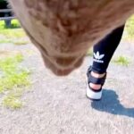 犬の胸に『カメラを設置した』結果→遊んでいる途中で…思わず泣けてくる『まさかの光景』が17万再生「愛が溢れてる」「ずっと幸せでいて」(ブログ)