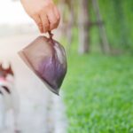 犬の飼い主が注意すべき他人への配慮7つ　トラブルを防ぐために心掛けておくべきこととは(ブログ)