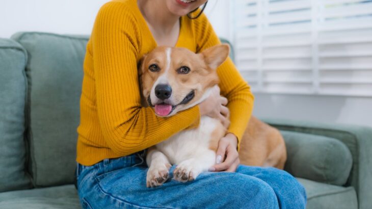 犬が飼い主に『密着してくる』心理6選　くっついてくる理由や注意すべき状況まで(ブログ)