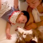 赤ちゃんが大型犬２匹と一緒に転がっていたら、突然泣き出して…まさかの『愛おしすぎる号泣の理由』に反響「幸せの集合体」「ヤバイ、可愛すぎ」(ブログ)