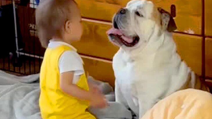 犬のことが大好きな小さい男の子→犬が移動すると…？とんでもなく尊い『まさかの行動』が56万再生「休日のお父さん？ｗ」「いいコンビ」と反響(ブログ)