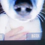 インターホンに保存された『犬の写真』を見てみたら…治安が悪すぎる『まさかの表情』に3万いいね集まる「超極悪顔で草」「絶対居留守使うw」(ブログ)