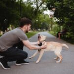 犬の里親に絶対なってはいけない人の特徴５選　検討する前に知っておくべき現実とは？(ブログ)