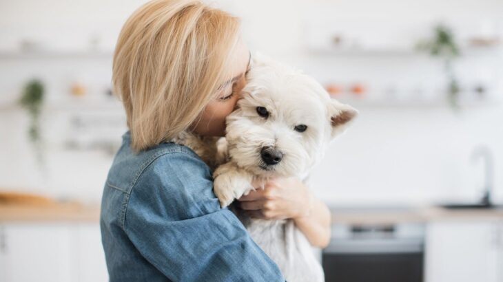 犬に対する『無意識なNG行動』3つ　あなたは大丈夫？実は愛犬を傷付けているかも…(ブログ)