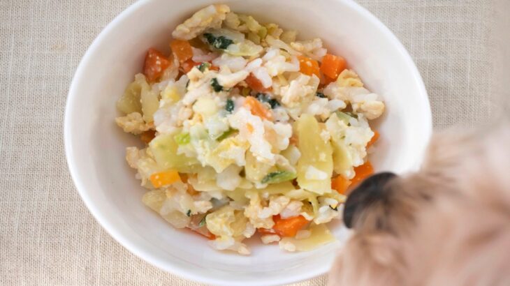 犬に絶対NGな『手作りご飯』の与え方4選　気をつけるべき理由や理想的な食事まで(ブログ)