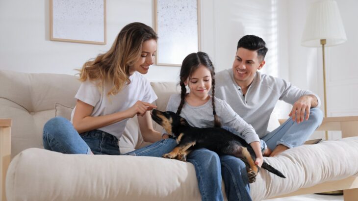 犬を飼うと『人生が変わる』と言われている理由5選　愛犬がもたらす影響や迎えてから得られるメリットまで(ブログ)